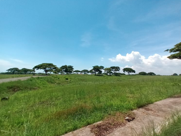 Block 18, Lot 4 Saddle and Clubs Leisure Park Subdivision, Barangay Tanauan, Tanza, Cavite