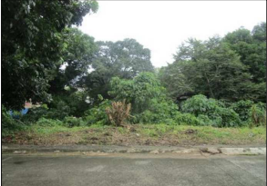 Lot 28, Block 4, Cypress St. La Marea Subdivision, Phase 1, Barangay San Antonio, San Pedro, Laguna